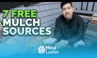 7 Cheap Or Free Mulch Sources and How To Use Them In Your Garden