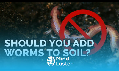 Adding Worms To Bad Soil Won t Fix It Here s Why