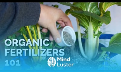 14 Organic Fertilizers and How to Use Them