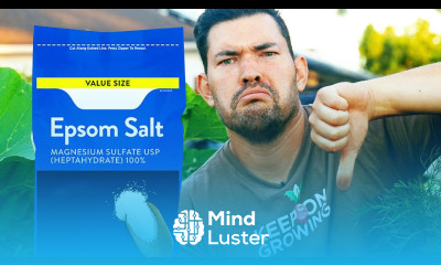 STOP Using Epsom Salt in Your Garden 