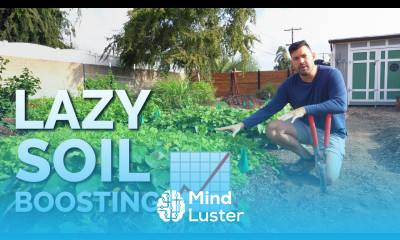 Cover Cropping The LAZIEST Way to Improve Your Soil