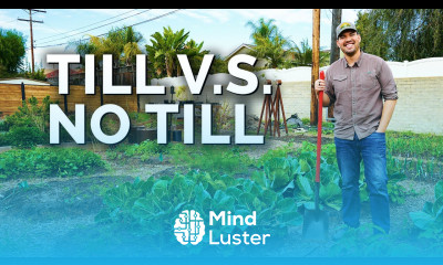 Why I Decided To Till My Garden