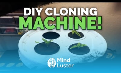DIY Cloning Machine Two EASY Ways to Build a Propagation Station