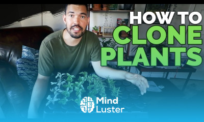 How to Clone Plants Propagating in an Aeroponic System 101