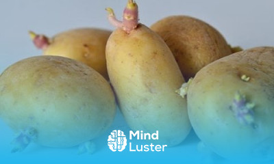 Growing potatoes at home is easy