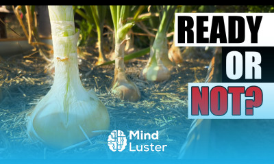 Don t Harvest Onions Too Early Garden Quickie Episode 261