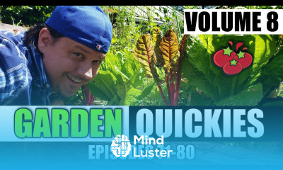Garden Quickies Volume 8 Episodes 71 to 80