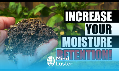 Increase Your Soil s Water Retention Garden Quickie Episode 89