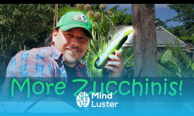 5 Tips For More Zucchinis Garden Quickie Episode 12