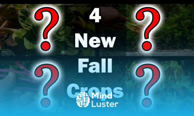 4 Fall Crops You Didn t Think Of Garden Quickie Episode 19