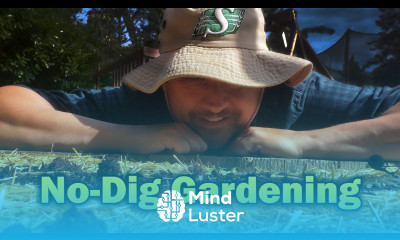 No Till Gardening Explained Garden Quickie Episode 21