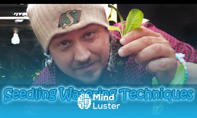 How To Water Seedlings And Small Pots Garden Quickie Episode 22