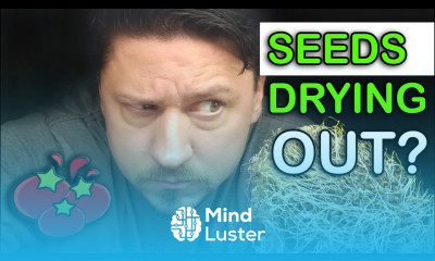 Prevent Seeds From Drying Out Trick Garden Quickie Episode 26