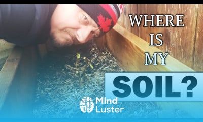 Where Did My Soil Go Garden Quickie Episode 30