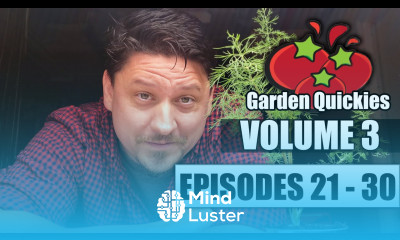 Garden Quickies Volume 3 Episodes 21 to 30