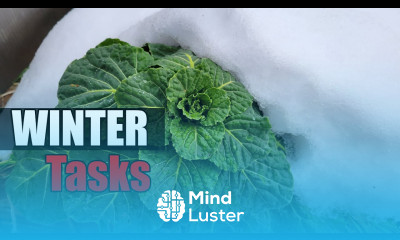 10 Winter Gardening Tasks Garden Quickie Episode 35