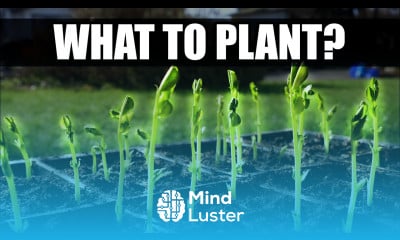 Top 5 Veggies To Grow This Year Garden Quickie Episode 36