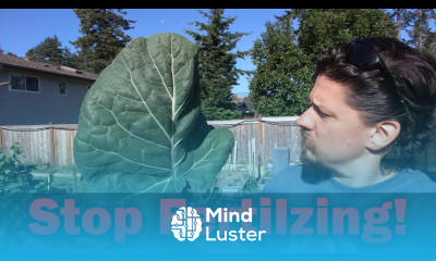 Stop Fertilizing Your Garden Doesn t Need It