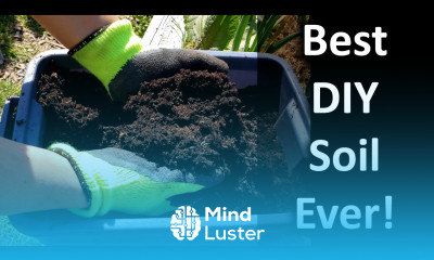 Make Your Own Potting or Container Soil In 2020