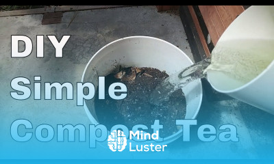 Make Your Own SIMPLE Compost Tea