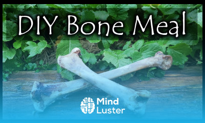 How To Make Bone Meal