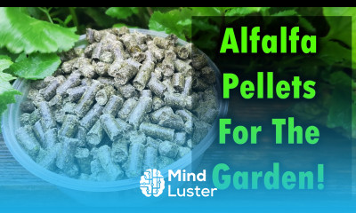 Alfalfa Pellets As Fertilizer For Your Garden