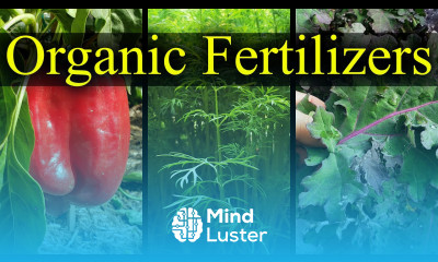 Organic Fertilizers My Top 5 Choices For 2021