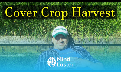 Harvesting Your Cover Crops