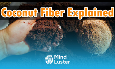 Coconut Fiber Coir Benefits and Uses