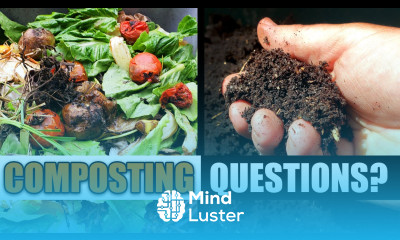Your Top 6 Composting Questions Answered