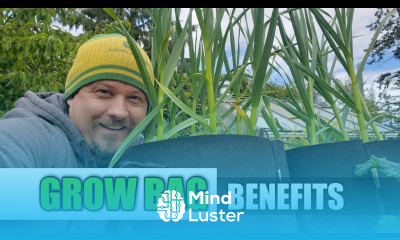 6 Benefits Of Fabric Grow Bags Garden Quickie Episode 69