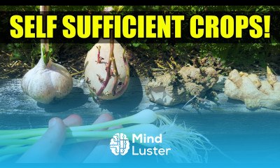 Top 5 Self Sufficient Crops