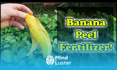 Banana Peel Fertilizer 3 Ways To Use Banana Skins In Your Garden