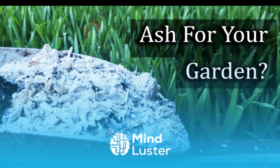 Ash For Your Garden 4 Ways To Apply It Properly