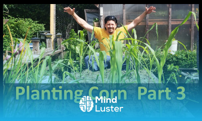 Growing Corn Part 3 Planting