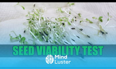 Seed Viability Test 101