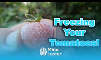 Freezing Cherry Tomatoes In 2020