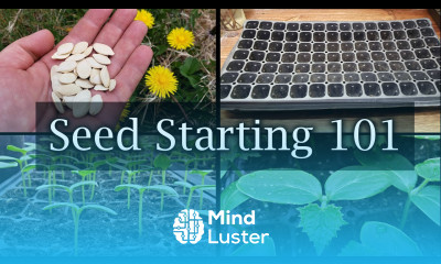 How To Start Vegetable Seeds The Definitive Guide For Beginners