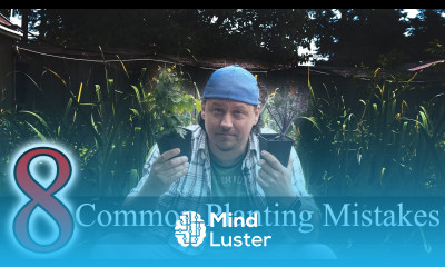 Common Garden Transplanting Mistakes