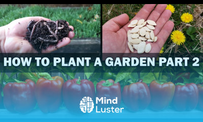 Growing Your First Garden Episode 2 of 4