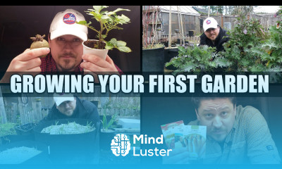 Growing Your First Garden In 2022