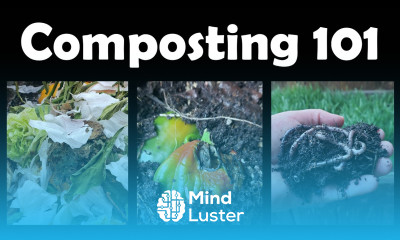 Composting Tutorial Guide To A Better Compost