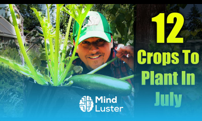 12 Crops You Can Still Plant In July