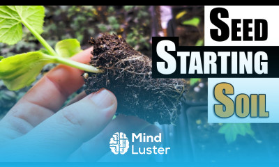 DIY Seed Starting Soil Made Easy