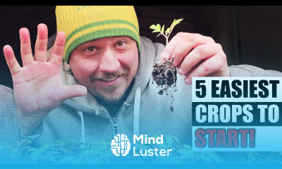 5 Easiest Crops To Start Early Garden Quickie Episode 131