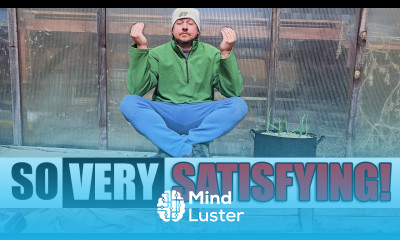 Garden Cleanup Made Easy