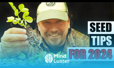 Seed Starting Tips For 2024