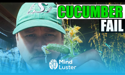 My Big Fat Cucumber Fail