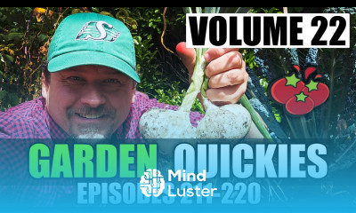 Garden Quickies Volume 22 Episodes 211 to 220