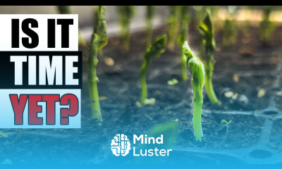 When To Start Your Seeds Indoors Garden Quickie Episode 231